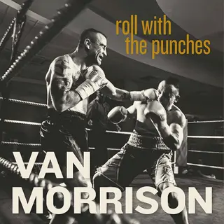 ImportCDs Roll With the Punches Vinyl Americana
