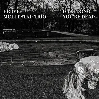 Konkurrent Hedvig Mollestad Trio - Ding Dong. You're Dead (Cd)