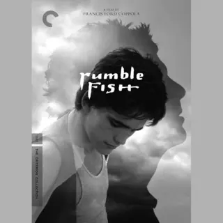 Criterion Collection, Rumble Fish - Criterion Collection, Rumble Fish (2 Dvd)