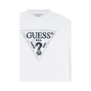 Kapuzensweatshirt Mit Dreieckigem Logo Guess