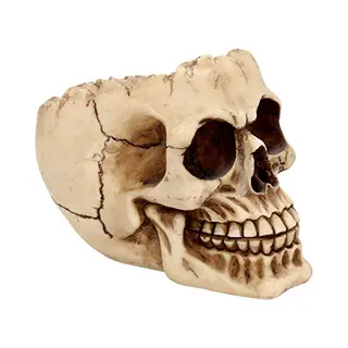 Nemesis Now Lobo Aschenbecher, 13, 5 Cm, Elfenbeinfarben