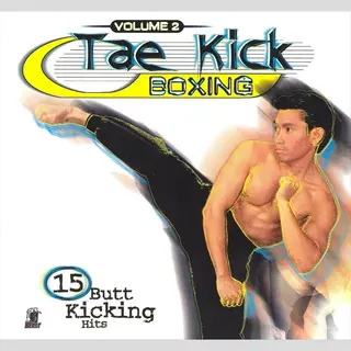 Tae Kick Boxing, Vol. 2