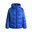 Electric Blue