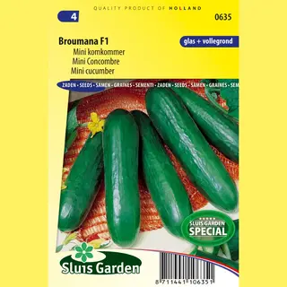 Sluis Garden - Komkommer Broumana F1