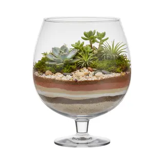 Hakbijl Glass Luxe Stijlvolle Brandy Vaas Van Glas - 10 Liter - D30 X H38 Cm - Bloemen/Terrarium