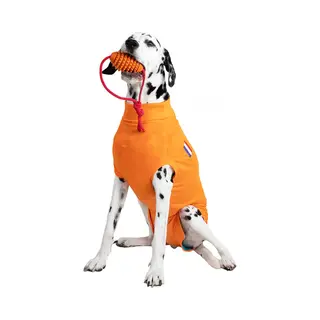 Mps Medical Pet Shirt Dog, Surgery Recovery Suit, Orange, Medium