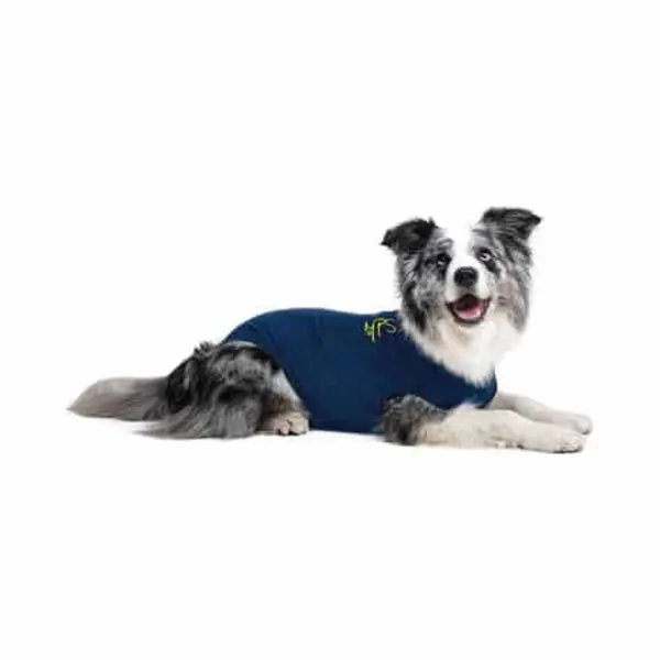 Medical Pet Shirt Hund Zebra-Muster - Xxs thumbnail