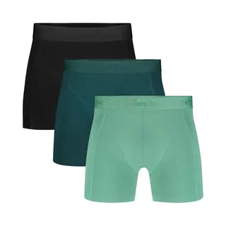 Bamboo Basics Heren Bamboe Boxershorts Rico (3-pack) - Zwart, Petrol & Lichtgroen Ton Sur Ton - Ondergoed Heren - Boxershort Heren Lange Pijp - Maat M