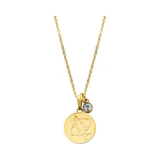CO88 Collection Zodiac 8CN 26075 Stalen Collier Met Hanger - Sterrenbeeld Vissen - Lengte 42 + 5 Cm - Goudkleurig