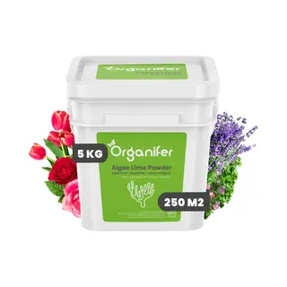 Algenkalk Poeder – Zuiver Lithothamnium Calcareum (5 Kg Voor 250 M2) - Organifer