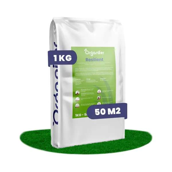 Herstelgazon Graszaad Snelkiemend (1kg, 50m2) Organifer - Gazonzaad - Graszaad Herstel En Doorzaai - Herstel Graszaad - Gazon Herstel - Graszaden Voor thumbnail