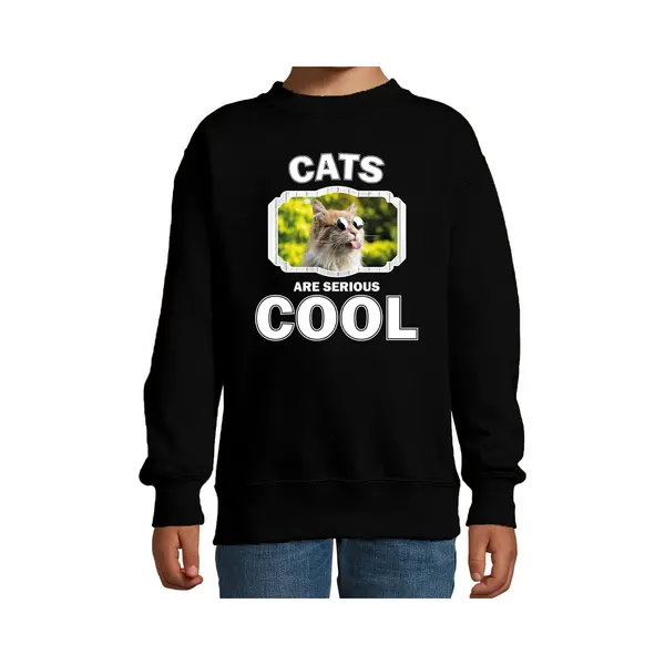 Bellatio Decorations Dieren Katten Sweater Zwart Kinderen - Cats Are Serious Cool Trui Jongens/ Meisjes - Cadeau Gekke Poes/ Katten Liefhebber - Kinderkleding / Kleding thumbnail