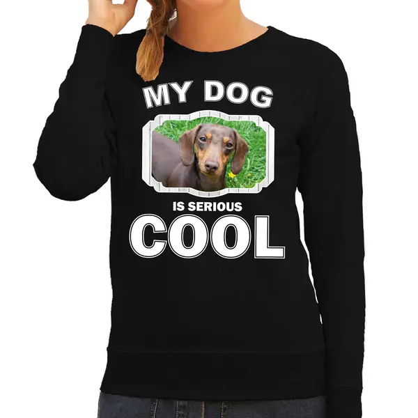 Bellatio Decorations Teckel Honden Trui / Sweater My Dog Is Serious Cool Zwart - Dames - Teckels Liefhebber Cadeau Sweaters S thumbnail