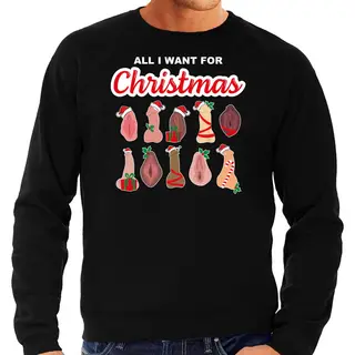 Bellatio Decorations Foute Kersttrui / Sweater - Heren - All I Want For Christmas - Piemel/vagina - Zwart L