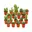 18x Cactus