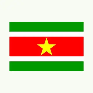 Klein Formaat Supporters Landen Vlag Suriname - Multipak Van 2x Stuks - 60 X 90 Cm - Landen Feestartikelen - Polyester