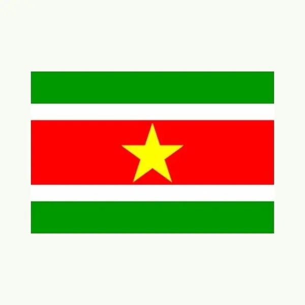 Klein Formaat Supporters Landen Vlag Suriname - Multipak Van 2x Stuks - 60 X 90 Cm - Landen Feestartikelen - Polyester thumbnail