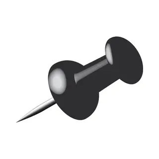 Alco Punaises - Set 160x - Zwart - Voor Prikbord