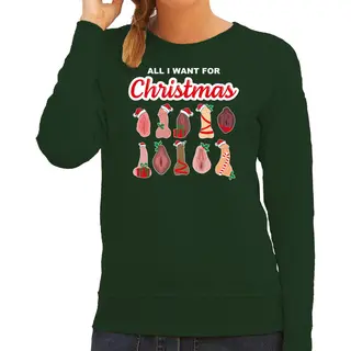 Bellatio Decorations Foute Kersttrui/sweater Dames - All I Want For Christmas - Piemel/vagina -groen S