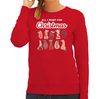 Bellatio Decorations Foute Kersttrui/sweater Dames - All I Want For Christmas - Piemel/vagina -rood Xl
