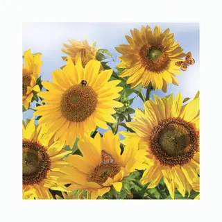 Daisy Lunch/diner Servetten - 60x St - 33 X 33 Cm - Zonnebloemen - Feestservetten