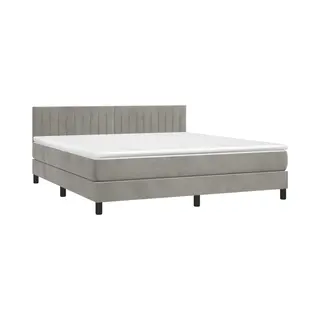 VidaXL Boxspringbett Mit Matratze Hellgrau 160x200 Cm Samt