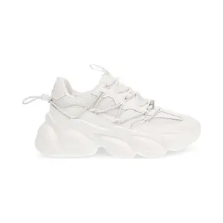 Sneakers Steve Madden Spectator