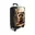 Jonge wasbeer