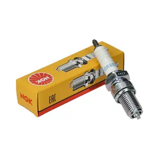 Ngk 2923 Zündkerze