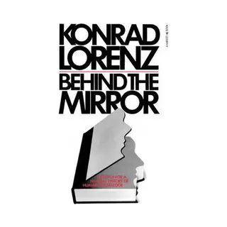 Behind The Mirror