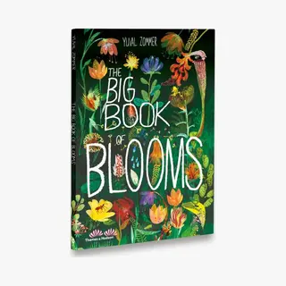 Isbn The Big of Blooms (The Big series) book 64 pages
