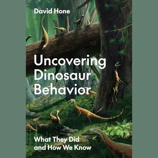 Uncovering Dinosaur Behavior