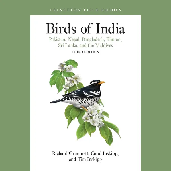 Princeton Field Guides- Birds Of India thumbnail