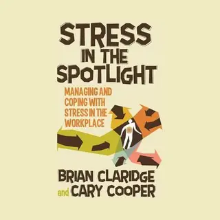Palgrave Macmillan Stress In The Spotlight