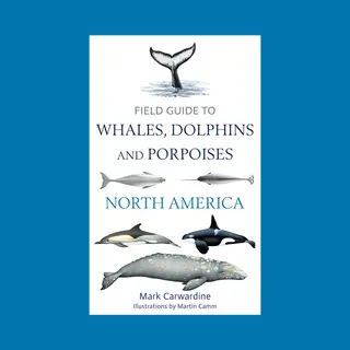 Bloomsbury Publishing Plc Field Guide To Whales, Dolphins And Porpoises Of North America
