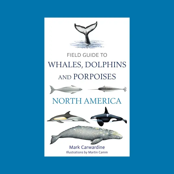 Bloomsbury Publishing Plc Field Guide To Whales, Dolphins And Porpoises Of North America thumbnail