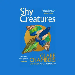 Shy Creatures