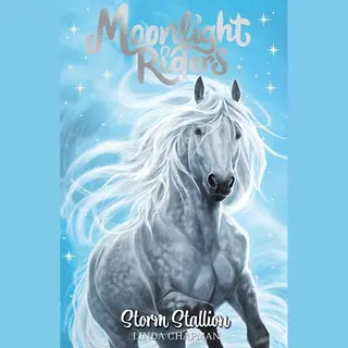 Moonlight Riders- Moonlight Riders, Storm Stallion