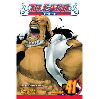 Isbn Bleach, Vol. 41 boek Engels Trade paperback 192 pagina's