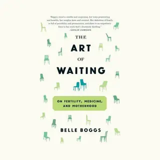 Belle Boggs The Art Of Waiting