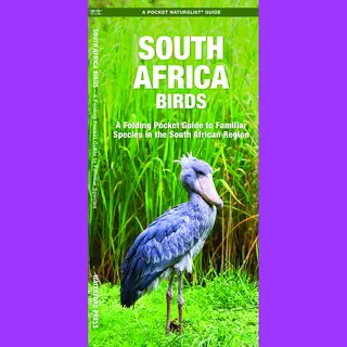 South Africa Birds