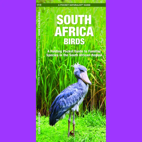 South Africa Birds thumbnail