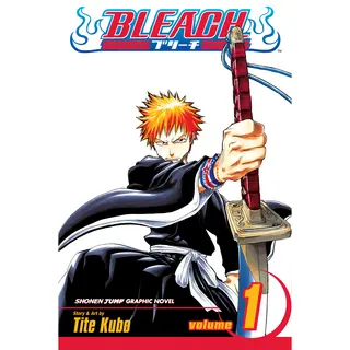 Isbn Bleach, Vol. 1