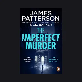 Random House Uk Ltd The Imperfect Murder
