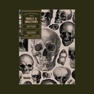 Skulls And Skeletons
