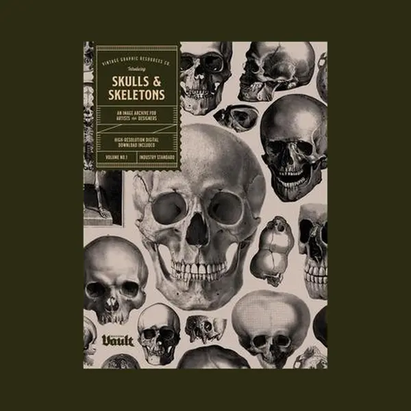 Skulls And Skeletons thumbnail