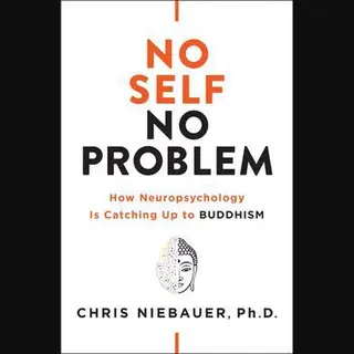 Chris Niebauer No Self, No Problem