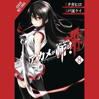Little, Brown & Company Akame Ga Kill! Zero, Vol. 8