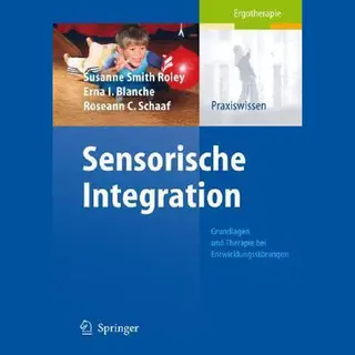 Springer Sensorische Integration