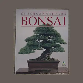 Schoonheid Van Bonsai